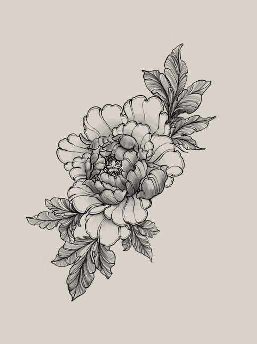 Peony 2 by Jonas