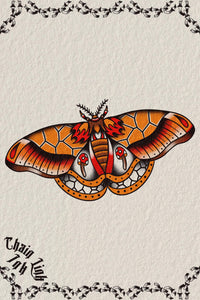 Mush Moth by Liam