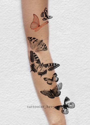 Butterflies by Heeyoon