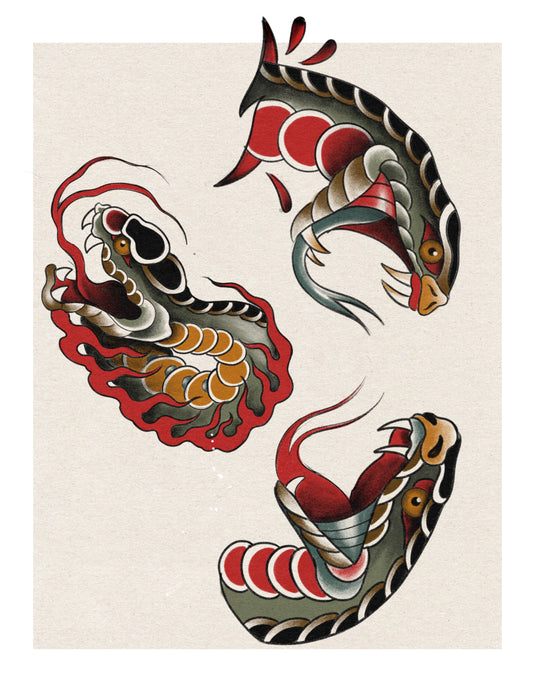 Translation missing: en.Snakehead Variety by Pablo