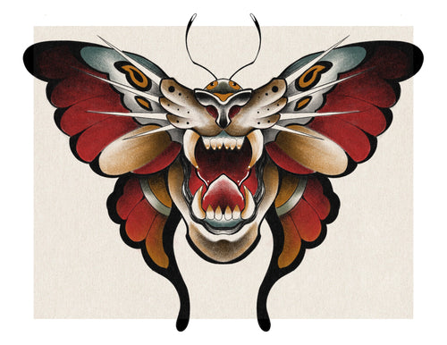Moth Morph by Pablo