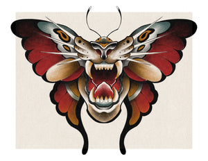Moth Morph by Pablo