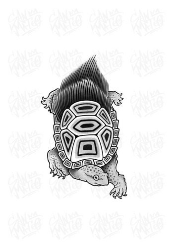 Turtle by Harryl