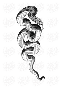 Snake 1 by Harryl