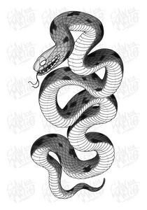 Snake 2 by Harryl