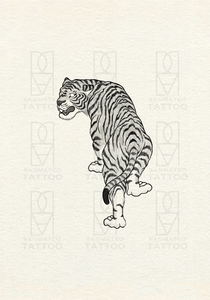 Tiger 4 by Harryl