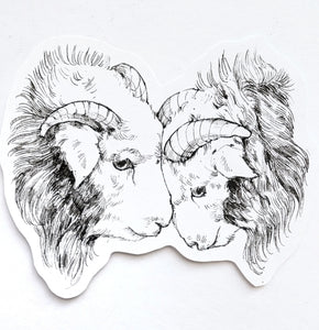 Sheep by Grace (APPRENTICE)