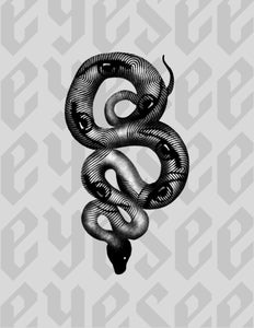 Snake Eyes by Stephen