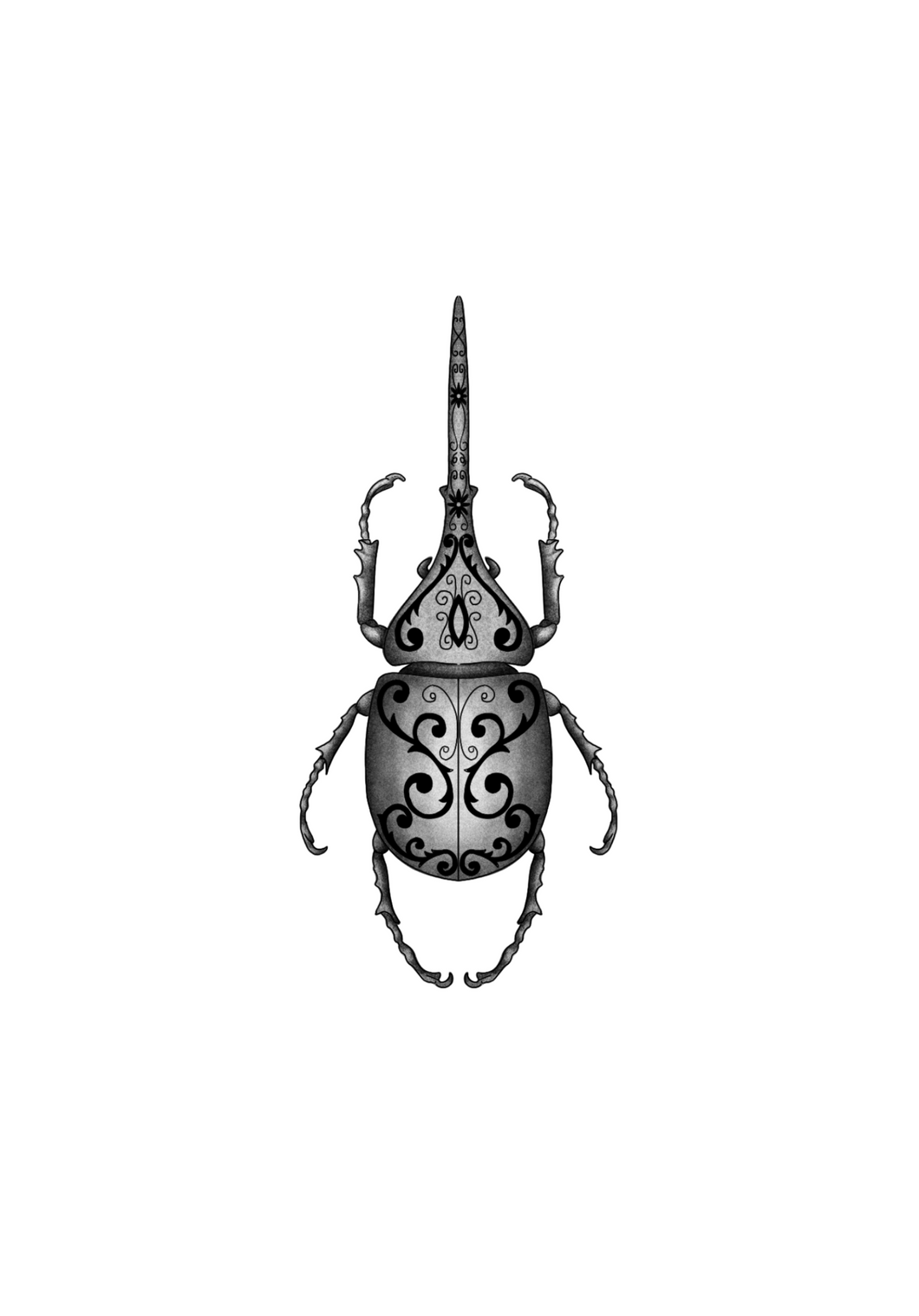 Beetle 2 by Harryl