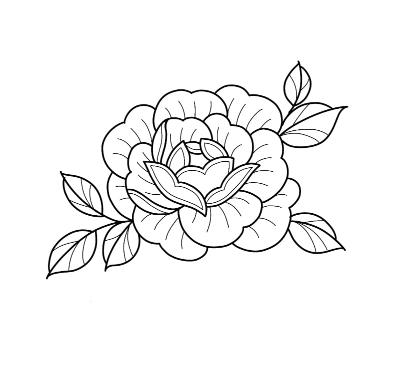 Peony by Sherry Ma