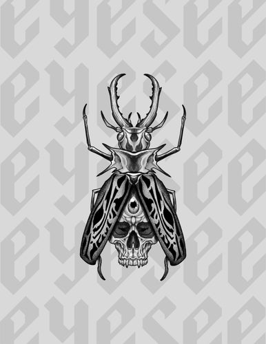 Beetle Skull by Stephen