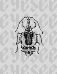 Violin Beetle Skull by Stephen