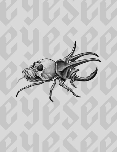 Atlas Beetle Skull by Stephen