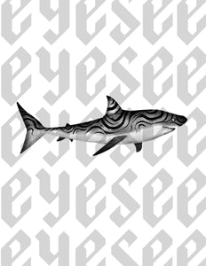 Shark by Eyesee