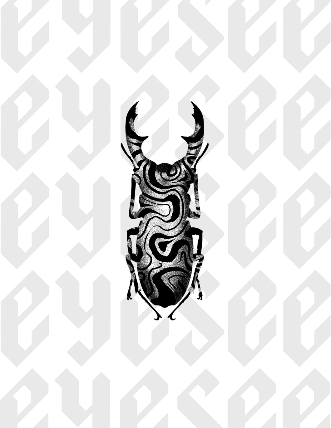 Beetle by Stephen