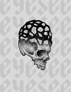 Fungi Skull 1 by Stephen